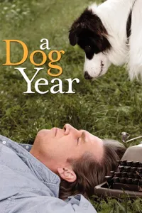 Bir Köpek Yılı izle