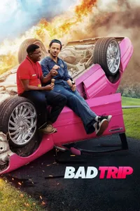 Bad Trip – Şaka Peşinde izle