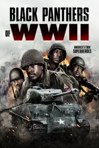 Black Panthers of WWII izle