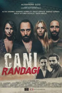 Cani randagi izle