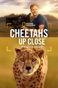 Cheetahs Up Close with Bertie Gregory izle