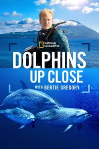Dolphins Up Close with Bertie Gregory izle