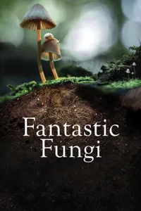 Fantastic Fungi izle