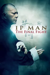 Ip Man : Son Dövüş
