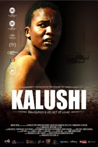 Kalushi The Story of Solomon Mahlangu