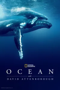 Ocean with David Attenborough izle
