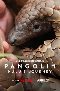Pangolin Kulus Journey izle