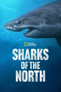 Sharks of the North izle