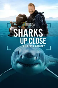 Sharks Up Close with Bertie Gregory izle