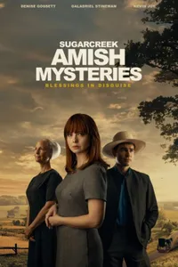 Sugarcreek Amish Mysteries Blessings in Disguise izle