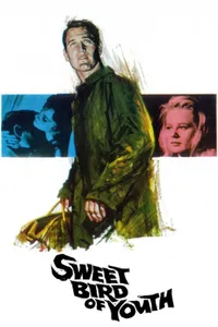 Sweet Bird of Youth izle
