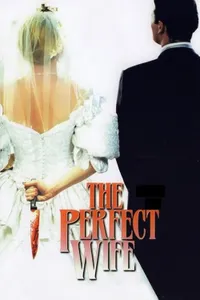 The Perfect Wife izle
