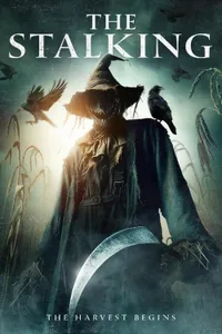 The Stalking izle