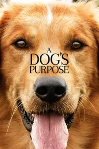 Can Dostum izle