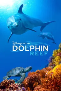 Dolphin Reef izle