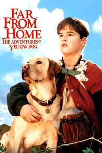 Evden Uzakta: Sarı Köpeğin Maceraları izle