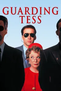 Gönülsüz Koruma izle