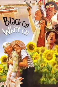 Kara Kedi, Ak Kedi izle