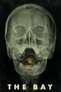 Körfezci izle