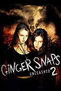 Kurtkızlar Serbest Kaldı izle