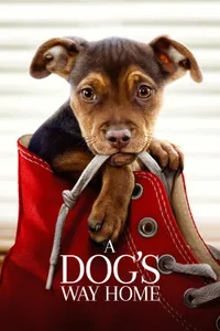 Sadık Dostum izle