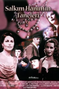 Salkım Hanımın Taneleri izle
