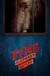 Tyke Elephant Outlaw izle
