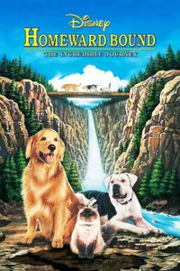 Yuvaya Dönüş izle